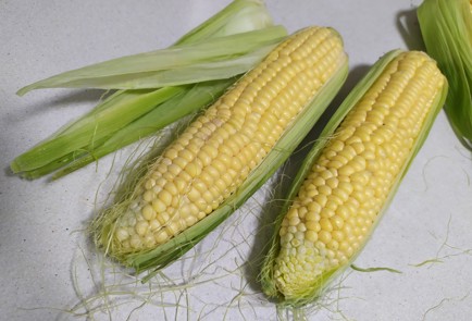 Фото шага рецепта Кукуруза  рецепт в микроволновке 189727 шаг 1  