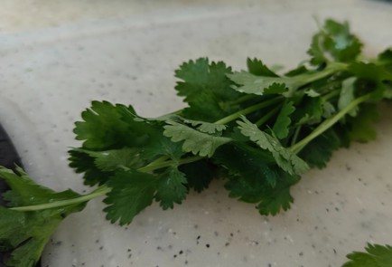 Фото шага рецепта Чахохбили из курицы 191601 шаг 12