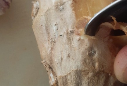 Фото шага рецепта Чатни из кабачка 152809 шаг 8  