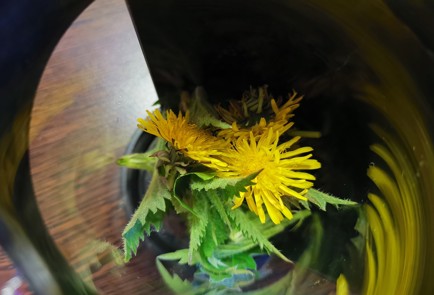 Фото шага рецепта Чай из крапивы 189458 шаг 2  