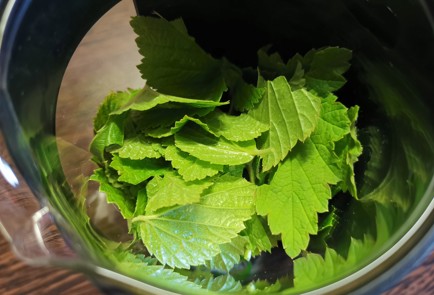 Фото шага рецепта Чай из крапивы 189458 шаг 3  