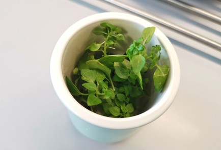 Фото шага рецепта Чай с базиликом и зверобоем 140733 шаг 2  