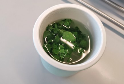 Фото шага рецепта Чай с базиликом и зверобоем 140733 шаг 3  