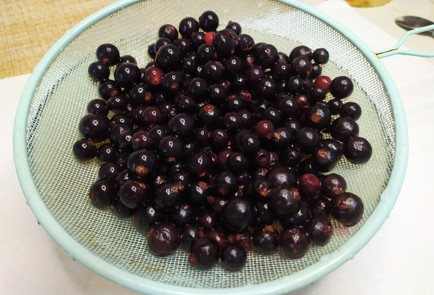 Фото шага рецепта Чай с черной смородиной и мятой 190797 шаг 1  