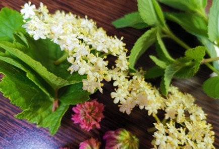 Фото шага рецепта Чай с клубникой 189718 шаг 2  