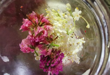 Фото шага рецепта Чай с клубникой 189718 шаг 8  