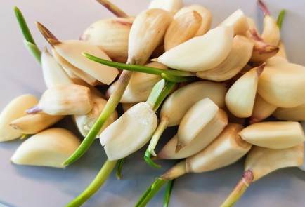 Фото шага рецепта Чесночная намазка 174015 шаг 2  