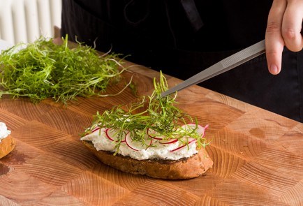 Фото шага рецепта Дачный тост с редиской и зеленью 152469 шаг 10  