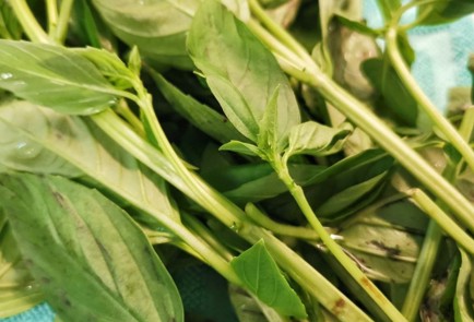 Фото шага рецепта Домашние котлеты с чесноком и базиликом 152590 шаг 5  