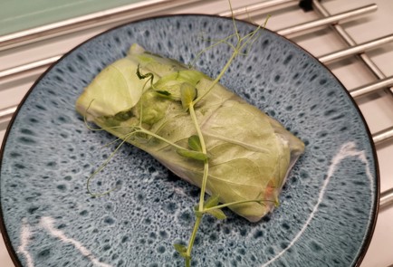 Фото шага рецепта Домашние спрингроллы 188759 шаг 10  