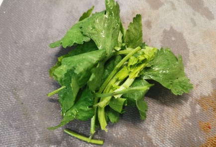 Фото шага рецепта Домашние спрингроллы 188759 шаг 4  