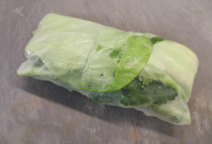 Фото шага рецепта Домашние спрингроллы 188759 шаг 9  