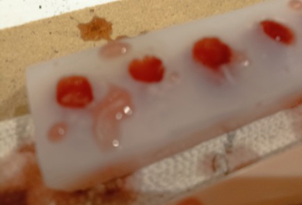 Фото шага рецепта Домашний мармелад из сока клюквы 191177 шаг 8