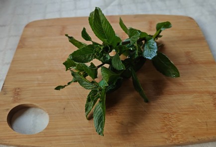 Фото шага рецепта Домашний мохито 189341 шаг 1  