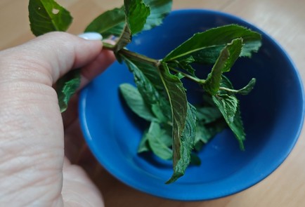 Фото шага рецепта Домашний мохито 189341 шаг 5  