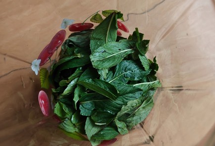 Фото шага рецепта Домашний мохито 189341 шаг 8  