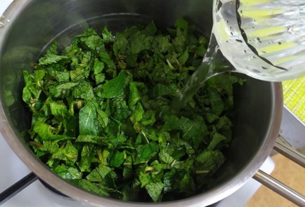 Фото шага рецепта Домашний сироп из мяты 189876 шаг 3  