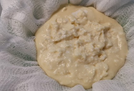 Фото шага рецепта Домашний сыр 174447 шаг 11  