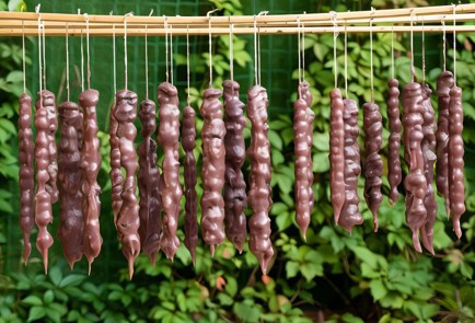 Фото шага рецепта Домашняя чурчхела 151223 шаг 8  