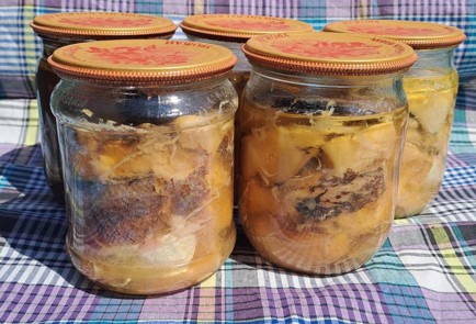 Фото шага рецепта Домашние рыбные консервы в автоклаве 187039 шаг 15