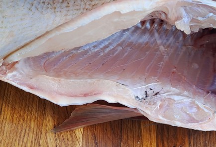 Фото шага рецепта Домашние рыбные консервы в автоклаве 187039 шаг 4