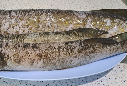 Фото шага рецепта Домашняя селедка из речной щуки 186475 шаг 1  