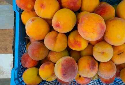 Фото шага рецепта Джем из персиков на зиму 190053 шаг 1  