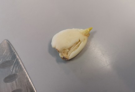 Фото шага рецепта Эноки на сковороде 190139 шаг 2  