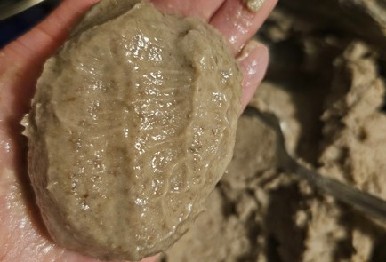 Фото шага рецепта Фасолевые котлеты 191536 шаг 9  