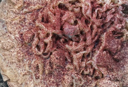 Фото шага рецепта Феттучини ширатаки с печенью 174439 шаг 13  