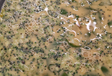 Фото шага рецепта Фритатта с брокколи и базиликом 151959 шаг 4  