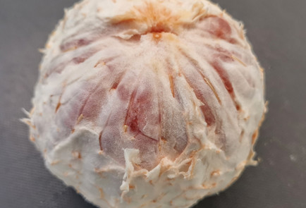 Фото шага рецепта Фруктовоягодный салат с камамбером и шпинатом 151708 шаг 2  