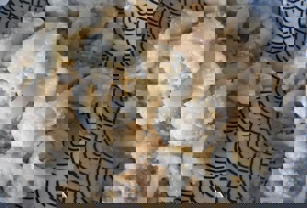 Фото шага рецепта Гарнир из цветной капусты 191263 шаг 7  