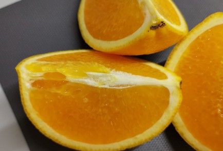 Фото шага рецепта Глинтвейн с грейпфрутом и розовым перцем 152877 шаг 1  