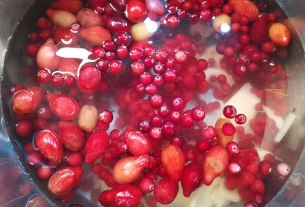 Фото шага рецепта Глинтвейн 190717 шаг 5  