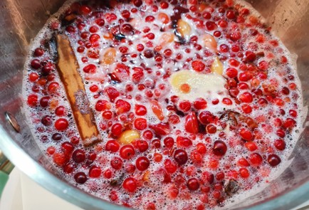 Фото шага рецепта Глинтвейн 190717 шаг 8  