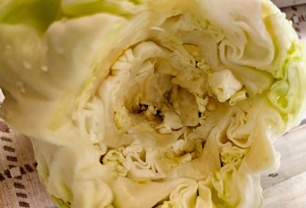 Фото шага рецепта Голубцы из гуся 189340 шаг 1  