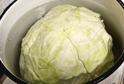 Фото шага рецепта Голубцы из гуся 189340 шаг 2  