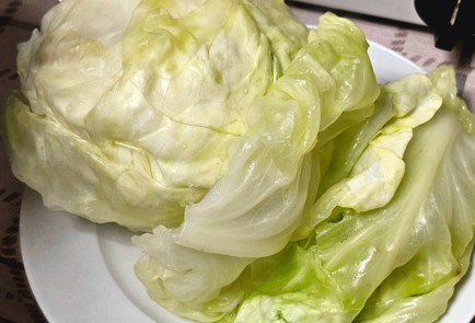 Фото шага рецепта Голубцы из гуся 189340 шаг 5  