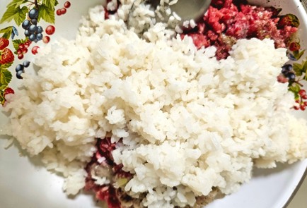 Фото шага рецепта Голубцы из гуся 189340 шаг 7  