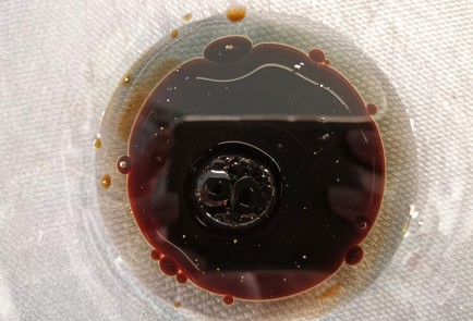 Фото шага рецепта Горчичные куриные ножки запеченные на соли 152572 шаг 2  