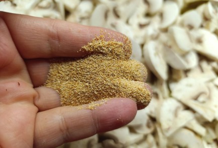 Фото шага рецепта Говядина пофранцузски с грибами 190866 шаг 8  