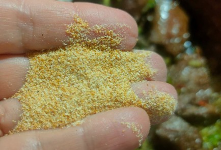 Фото шага рецепта Говяжье сердце с шампиньонами на сковороде 191089 шаг 13  