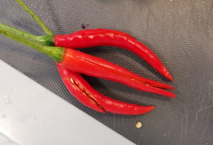 Фото шага рецепта Говяжий бульон с беконом 175620 шаг 4