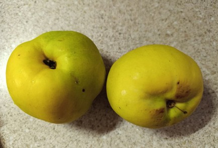 Фото шага рецепта Говяжья печень тушеная с айвой 190837 шаг 10  