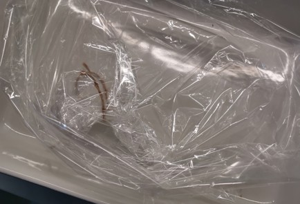 Фото шага рецепта Говяжья шея 191003 шаг 1  