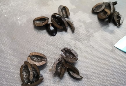 Фото шага рецепта Греческая закуска 189218 шаг 7