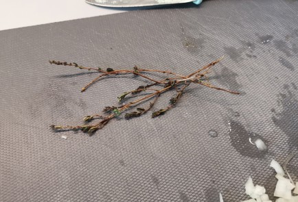 Фото шага рецепта Гречка с грибами 191526 шаг 7  