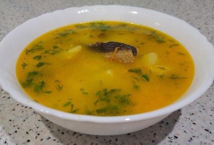 Фото шага рецепта Грибной суп 190641 шаг 11  