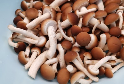 Фото шага рецепта Грибы в банке 190256 шаг 1  